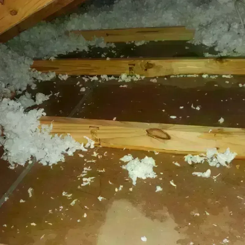 Attic Water Damage in Blanco County, TX