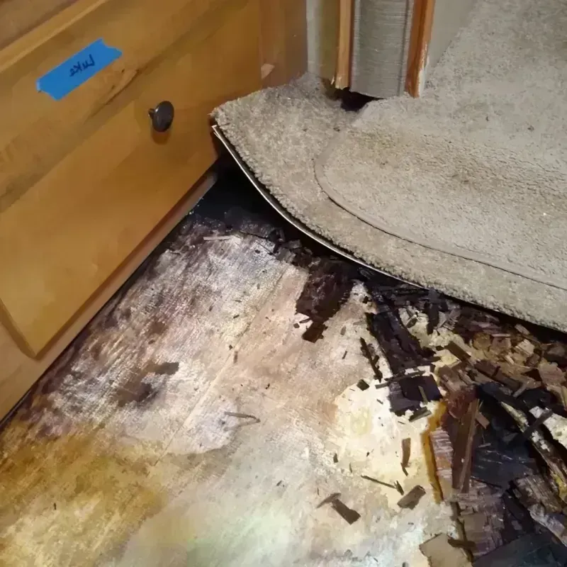 Wood Floor Water Damage in Blanco County, TX